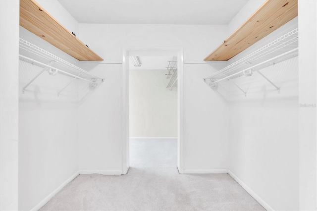 13533 Bay Lake Ln, Tampa, FL 33618 - walk in closet with carpet floors