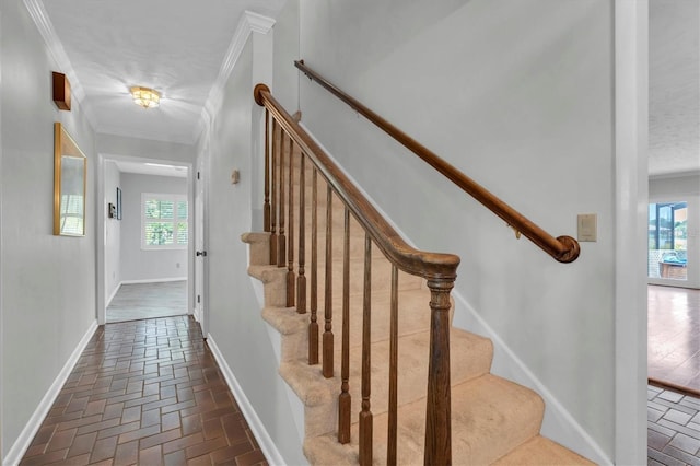 13533 Bay Lake Ln, Tampa, FL 33618 - stairs with ornamental molding, brick floors, and baseboards