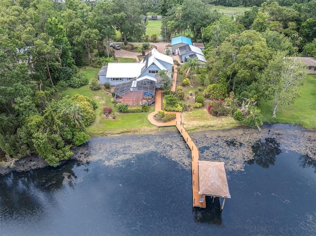 13533 Bay Lake Ln, Tampa, FL 33618 - view from above of property featuring a large body of water and a forest