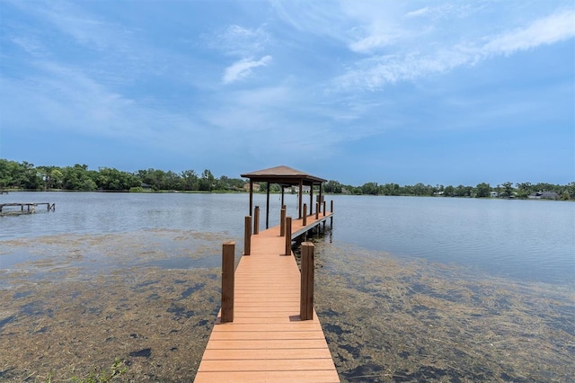 13533 Bay Lake Ln, Tampa, FL 33618 - dock area with a water view