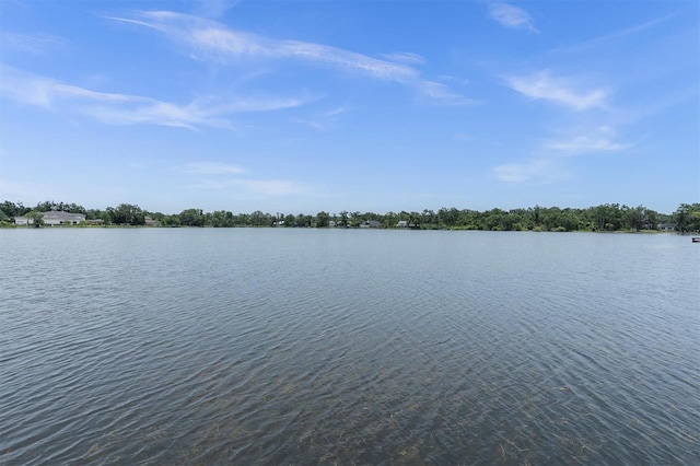 13533 Bay Lake Ln, Tampa, FL 33618 - water view