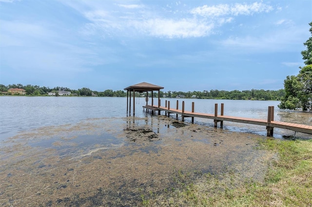 13533 Bay Lake Ln, Tampa, FL 33618 - dock area featuring a water view