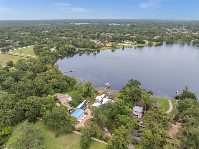 13533 Bay Lake Ln, Tampa, FL 33618 - aerial overview of property's location with a nearby body of water and a heavily wooded area