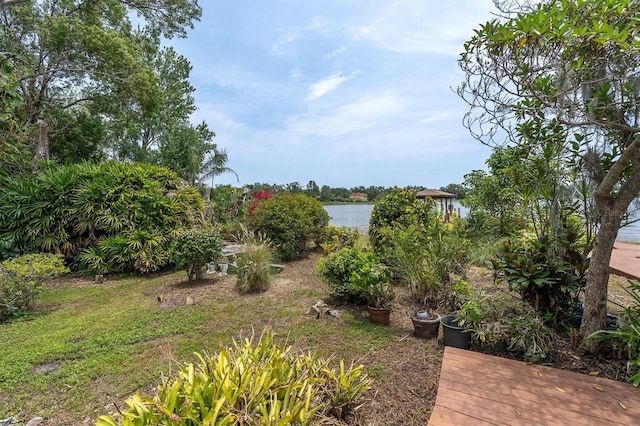 13533 Bay Lake Ln, Tampa, FL 33618 - view of yard featuring a water view