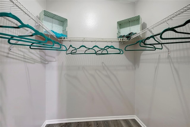 1400 Gandy Blvd N Unit 1504, Saint Petersburg, FL 33702 - spacious closet featuring wood finished floors