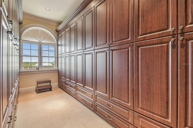 5810 Mariner St, Tampa, FL 33609 - walk in closet with carpet