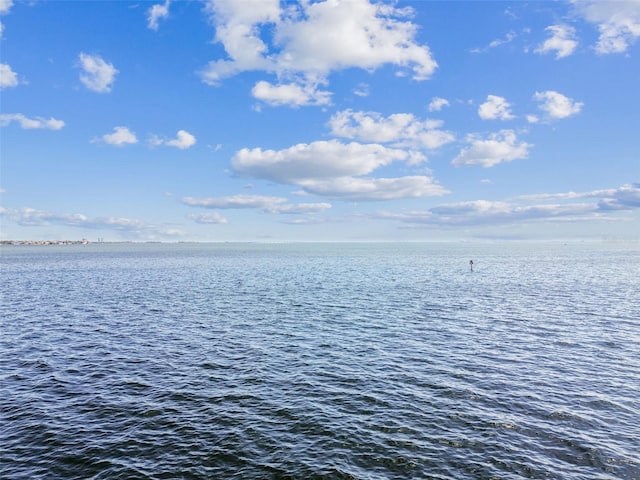 5810 Mariner St, Tampa, FL 33609 - water view