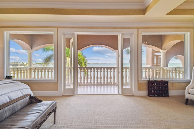 5810 Mariner St, Tampa, FL 33609 - carpeted bedroom with access to outside, baseboards, ornamental molding, and a water view
