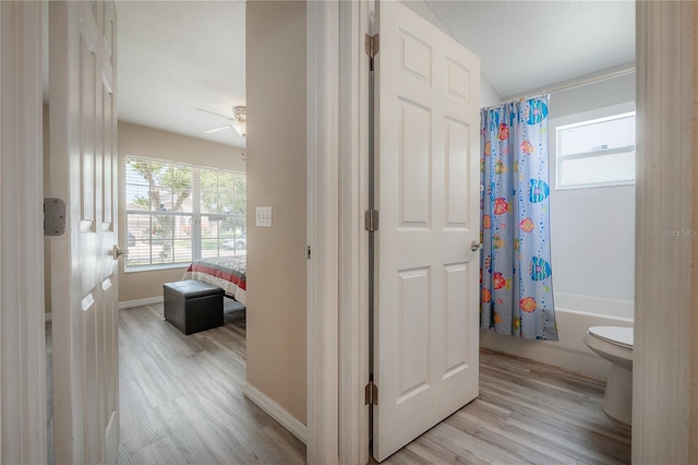 14614 Rannoch Moor Pl, Wimauma, FL 33598 - bathroom with wood finished floors, shower / bath combo with shower curtain, and a ceiling fan