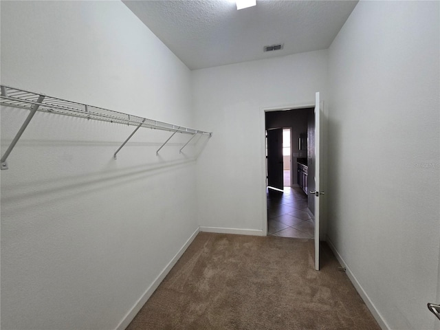1022 Oliveto Verdi Ct, Brandon, FL 33511 - spacious closet with carpet