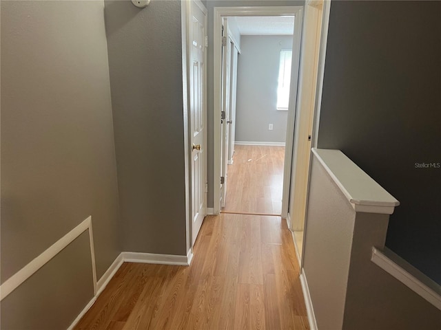 2068 San Marino Way N, Clearwater, FL 33763 - hallway with light wood-style floors and baseboards