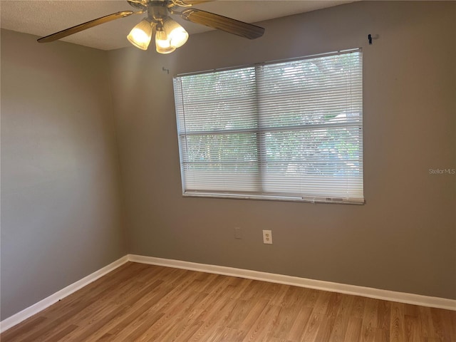 2068 San Marino Way N, Clearwater, FL 33763 - unfurnished room with ceiling fan, light wood-style flooring, baseboards, and healthy amount of natural light