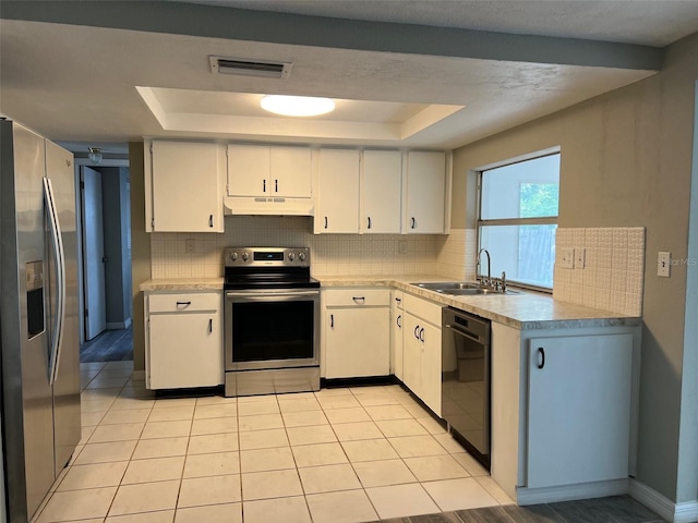 kitchen featuring appliances with stainless steel finishes, a sink, under cabinet range hood, a tray ceiling, and decorative backsplash