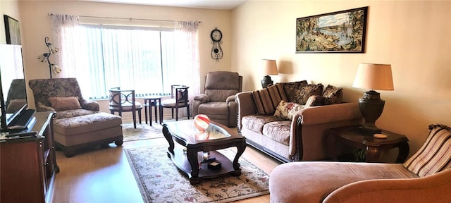 living area featuring wood finished floors