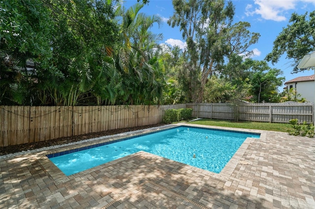 view of pool featuring a patio area and a fenced backyard