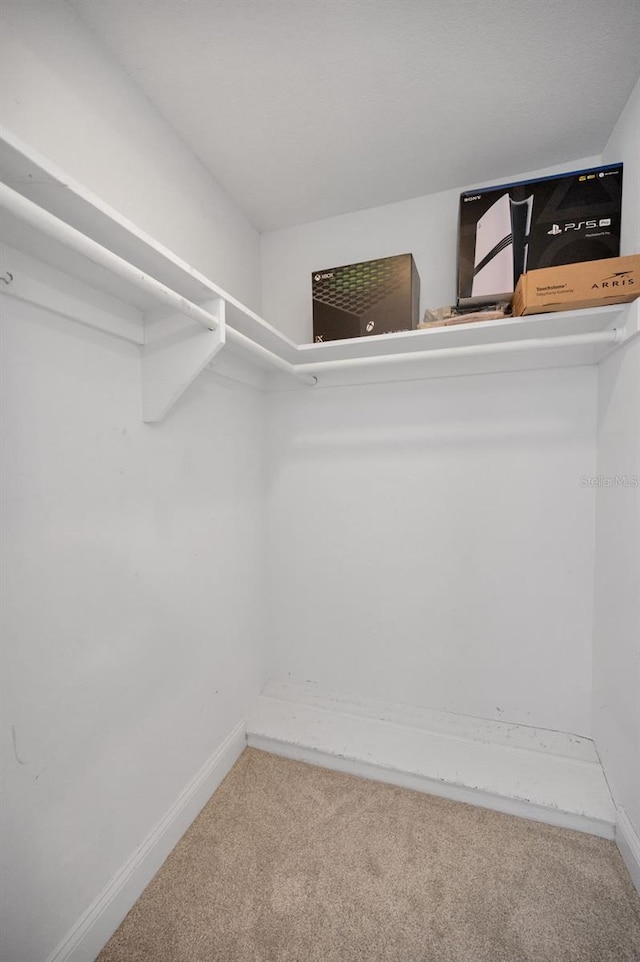 walk in closet featuring carpet floors