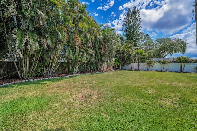 view of yard