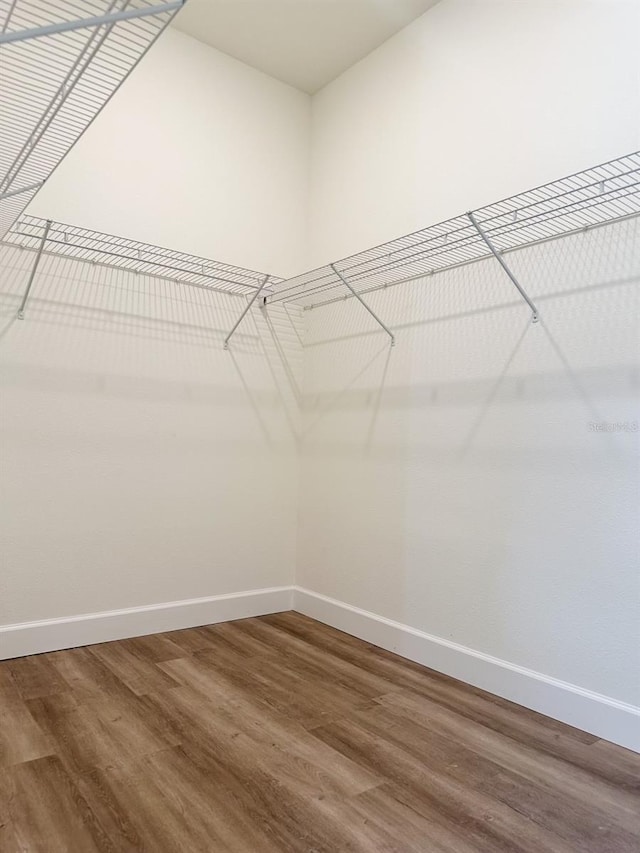 walk in closet featuring dark wood-type flooring