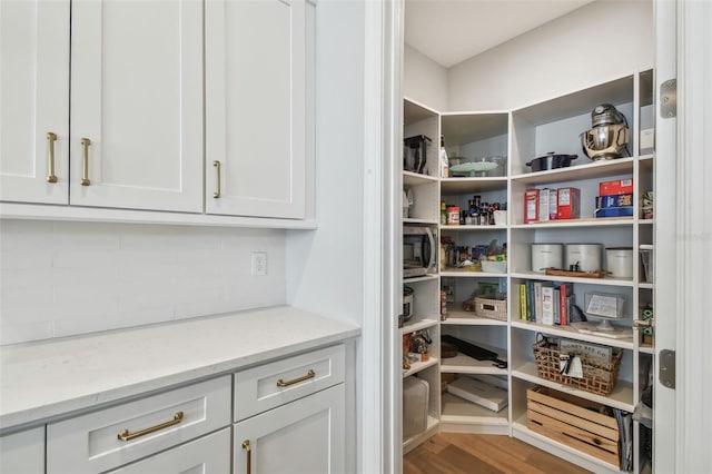 view of pantry