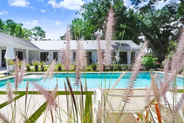 view of outdoor pool