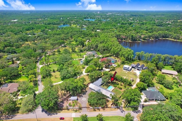 aerial overview of property's location with a forest and a nearby body of water