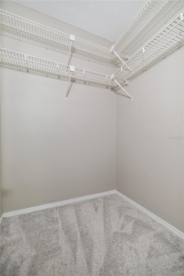 5100 Burchette Rd Unit 3005, Tampa, FL 33647 - spacious closet featuring carpet floors
