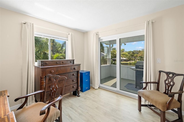 261 Kentucky Ave, Crystal Beach, FL 34681 - living area with light wood-type flooring and baseboards