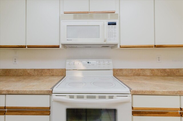 10430 42nd St N, Clearwater, FL 33762 - photo 17