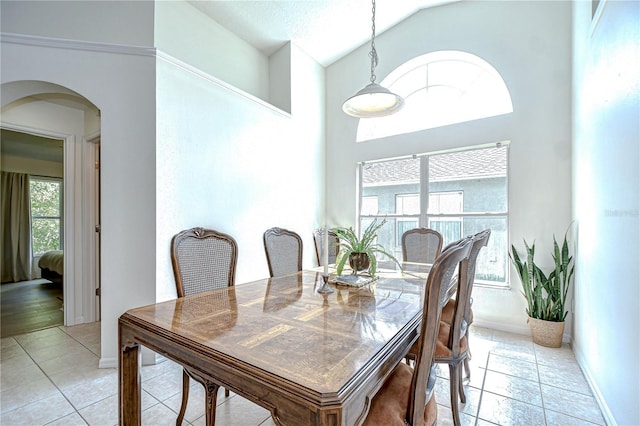 7107 Colonial Lake Dr, Riverview, FL 33578 - dining room with arched walkways, baseboards, high vaulted ceiling, and light tile patterned flooring