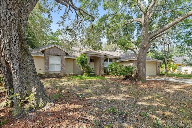 6237 Greenwich Dr, Tampa, FL 33647 - ranch-style house featuring an attached garage, driveway, stucco siding, and a shingled roof