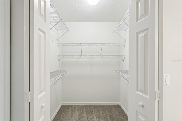10150 Heather Sound Dr, Tampa, FL 33647 - walk in closet with carpet flooring