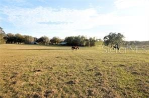 Arabian Way, Dade City, FL 33523
