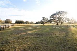 Arabian Way, Dade City, FL 33523
