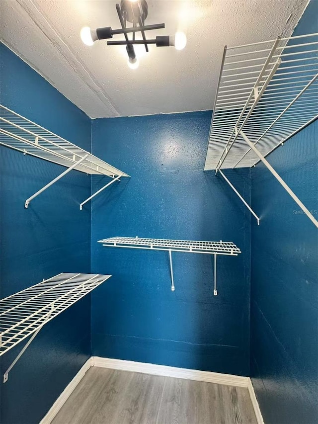 spacious closet featuring wood finished floors