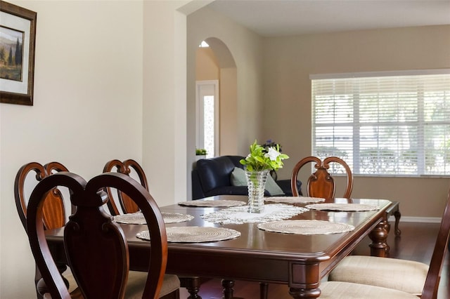 10837 Breaking Rocks Dr, Tampa, FL 33647 - dining area featuring arched walkways, plenty of natural light, baseboards, and wood finished floors