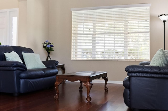 10837 Breaking Rocks Dr, Tampa, FL 33647 - living area featuring wood finished floors and baseboards