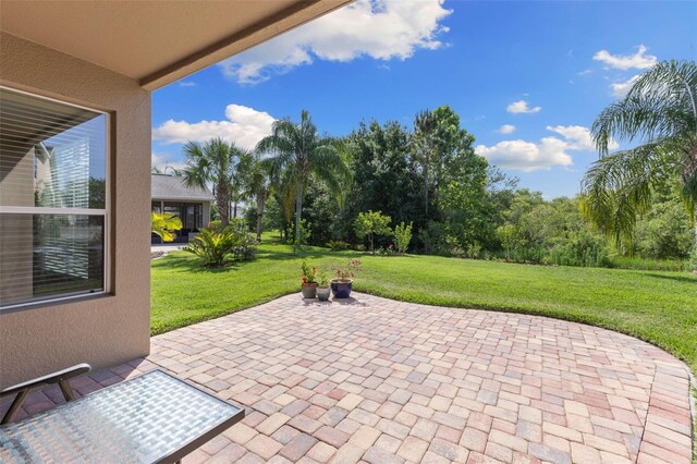 10837 Breaking Rocks Dr, Tampa, FL 33647 - view of patio
