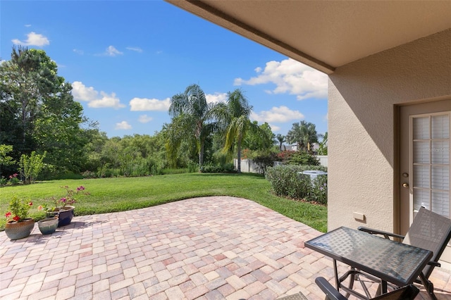 10837 Breaking Rocks Dr, Tampa, FL 33647 - view of patio / terrace