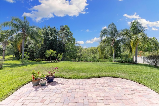 10837 Breaking Rocks Dr, Tampa, FL 33647 - view of patio
