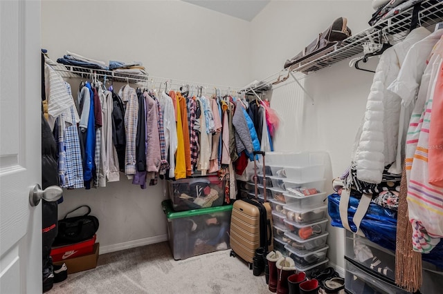 11917 Greenchop Pl, Riverview, FL 33579 - walk in closet featuring carpet