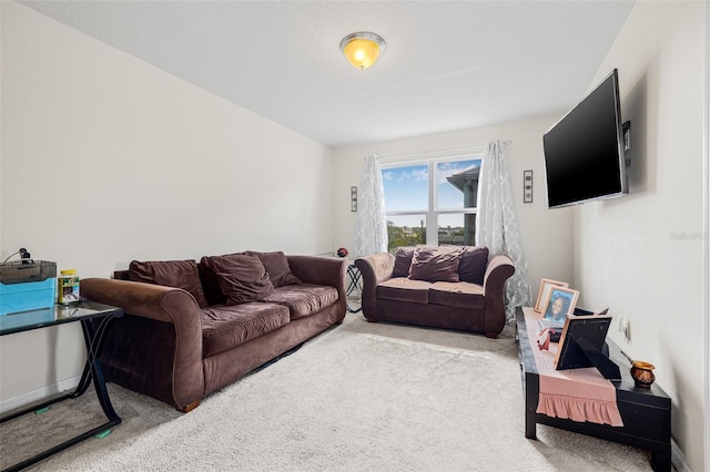 11917 Greenchop Pl, Riverview, FL 33579 - living area with carpet floors and baseboards
