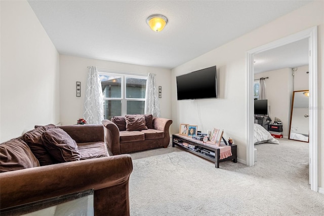 11917 Greenchop Pl, Riverview, FL 33579 - living area featuring carpet floors and baseboards