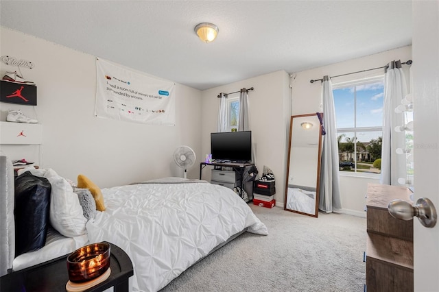 11917 Greenchop Pl, Riverview, FL 33579 - bedroom featuring carpet floors and baseboards