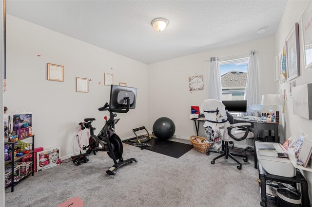 11917 Greenchop Pl, Riverview, FL 33579 - workout room with a textured ceiling, carpet, and baseboards