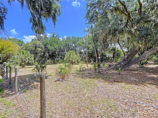3544 Porter Rd, Lithia, FL 33547 - view of yard