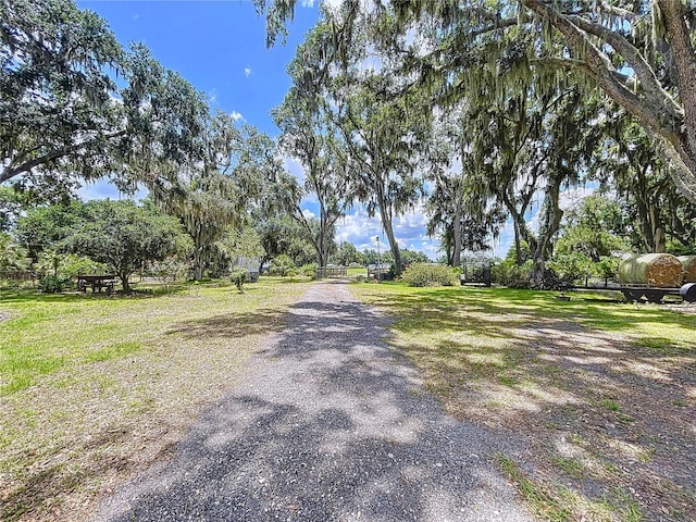 3544 Porter Rd, Lithia, FL 33547 - view of road