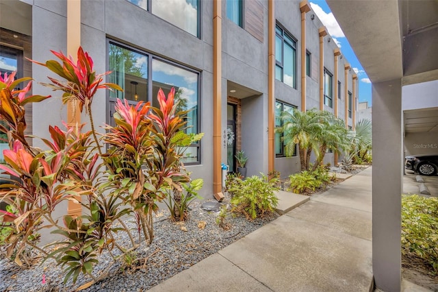 entrance to property with stucco siding
