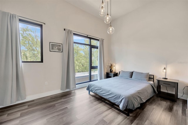 4047 Gauge Line Loop, Tampa, FL 33624 - bedroom featuring wood finished floors and multiple windows