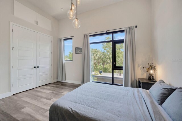 4047 Gauge Line Loop, Tampa, FL 33624 - bedroom featuring light wood-type flooring, baseboards, and a closet