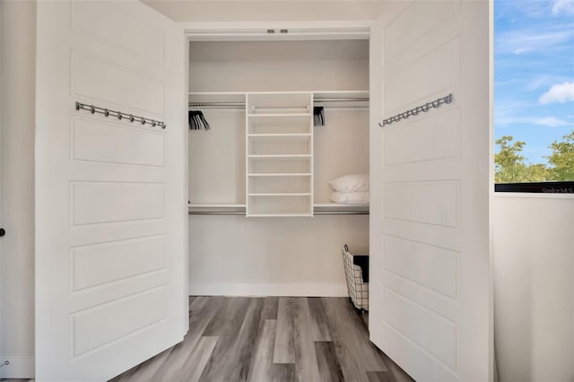 4047 Gauge Line Loop, Tampa, FL 33624 - view of closet